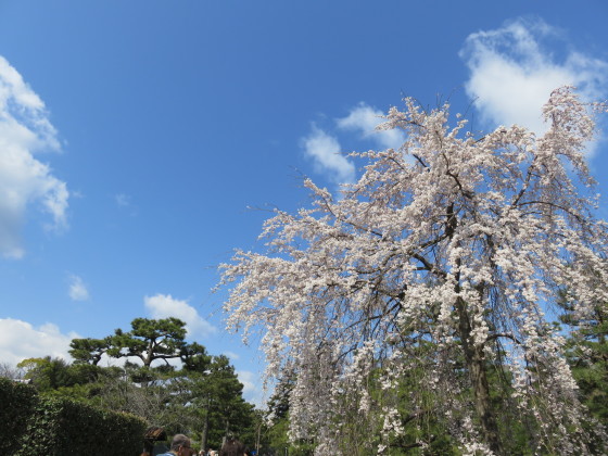 c0367054_20334901.jpg