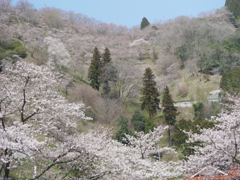 三休公園 三日おばさん 三休公園 三日おばさん