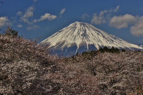 最新富士山の撮影記録_d0229560_23264865.jpg