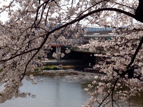 b0153663_12025910.jpeg