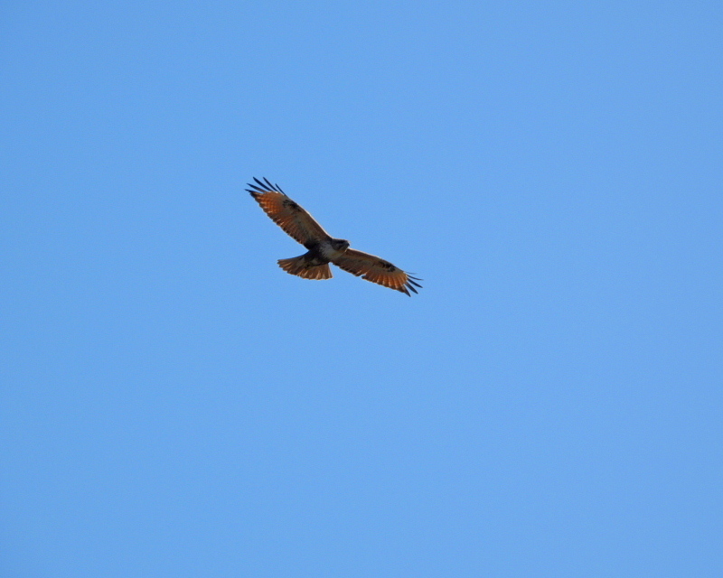 c0305565_17494776.jpg