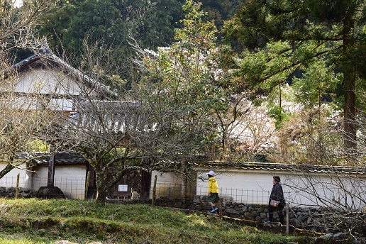 西吉野の夜明けと山の辺の道散策_c0303868_13460113.jpg