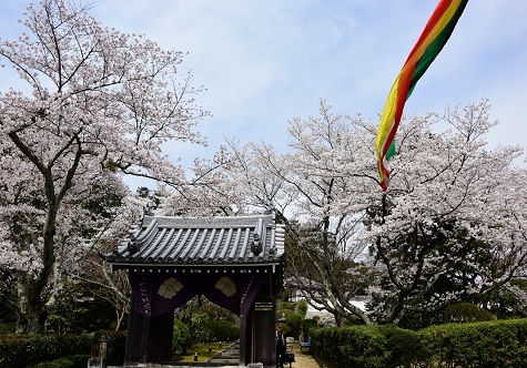 西吉野の夜明けと山の辺の道散策_c0303868_13554769.jpg