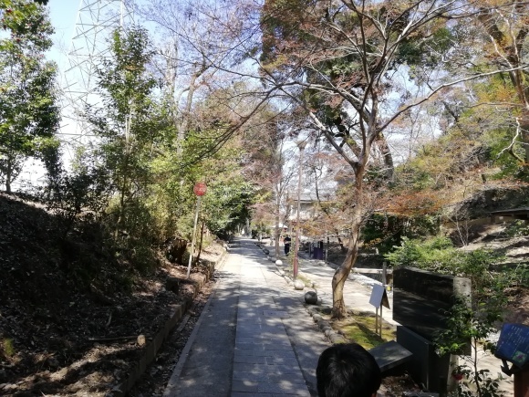京都へ花見_f0340068_10203999.jpg