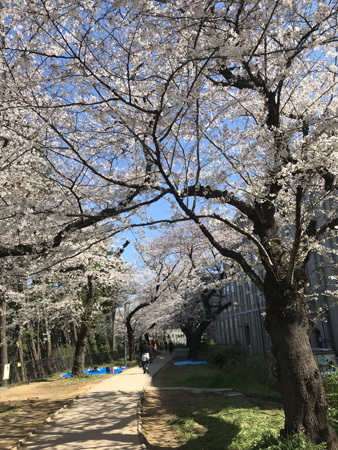 b0215871_13322970.jpg
