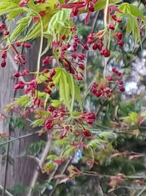 c0162773_10171711.jpg