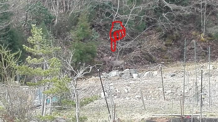 a0199979_20521854.jpg