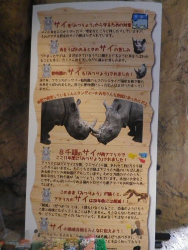 クロサイ ブログ フウカの種 クロサイ ブログ フウカの種