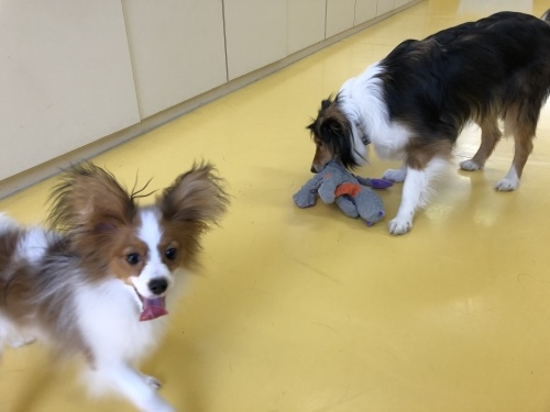 トレーニングブログ_f0357682_11181902.jpeg