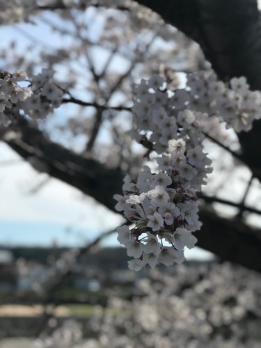 a0216583_23243181.jpeg