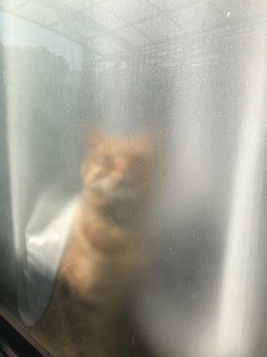 a0216583_23250789.jpeg