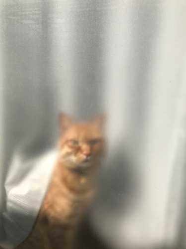 a0216583_23251026.jpeg