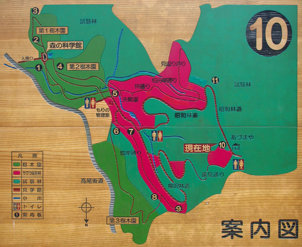 b0123486_08232603.jpg