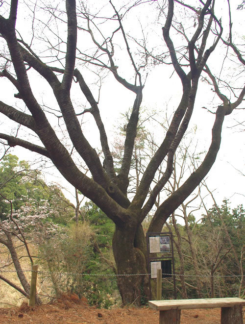 b0123486_08550480.jpg