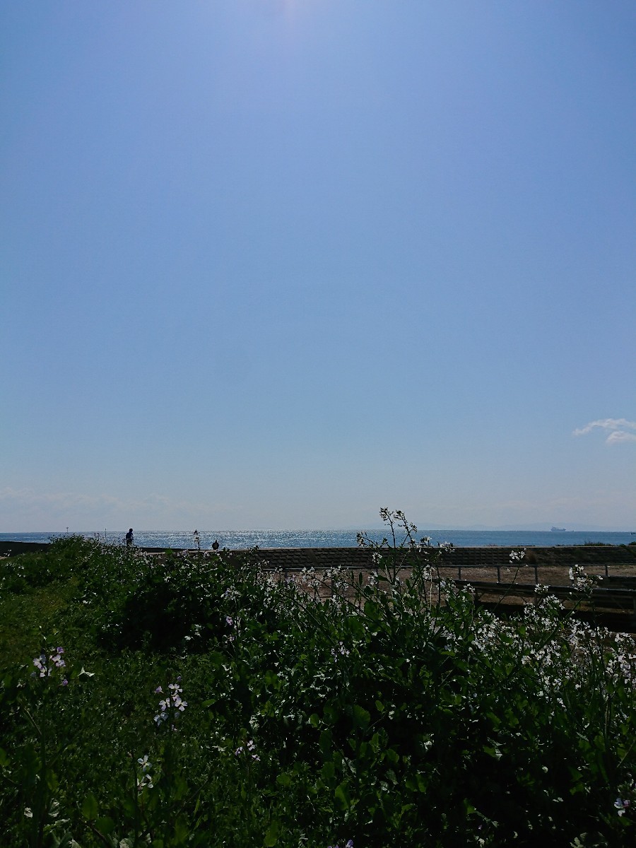 d0247789_08152147.jpg