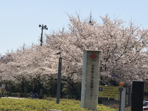 e0397389_16443251.jpeg