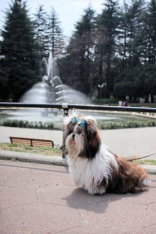 c0090198_18454760.jpg
