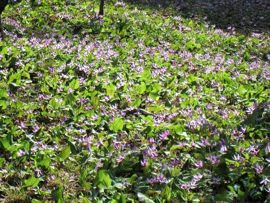 c0117898_19185701.jpg