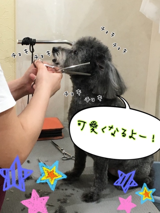 d0269898_16181233.jpeg