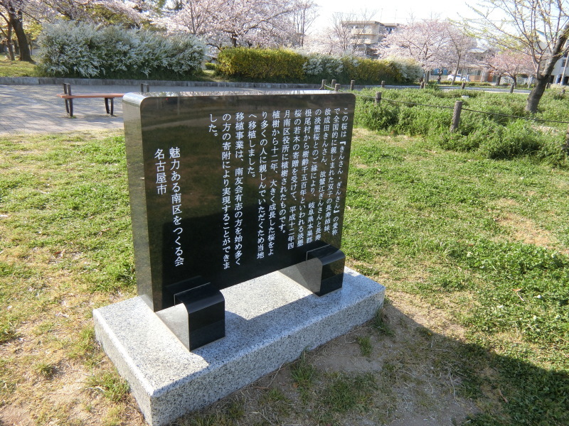 きんさんざくら ぎんさんざくら 笠寺公園 緑区周辺そぞろ歩き