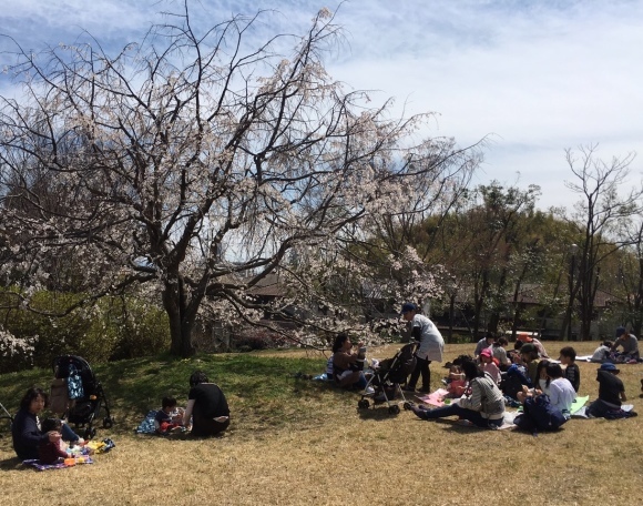 4月5日（金）「なかよしポッケ ピクニック」_f0223705_00521810.jpeg