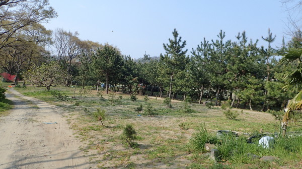 c0367107_10560398.jpg