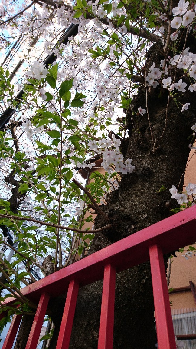 a0228408_13120649.jpg