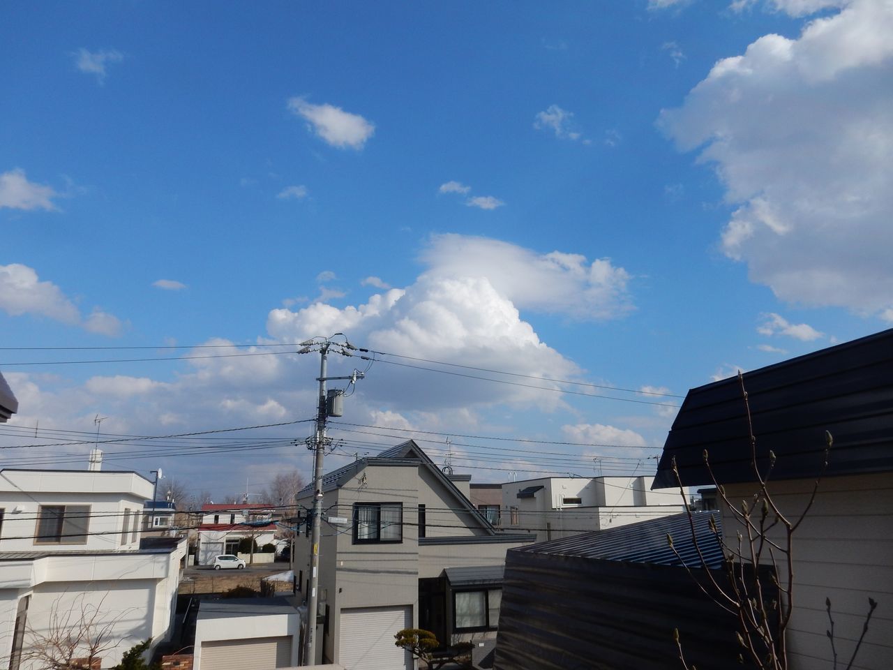 札幌の春_c0025115_22303426.jpg