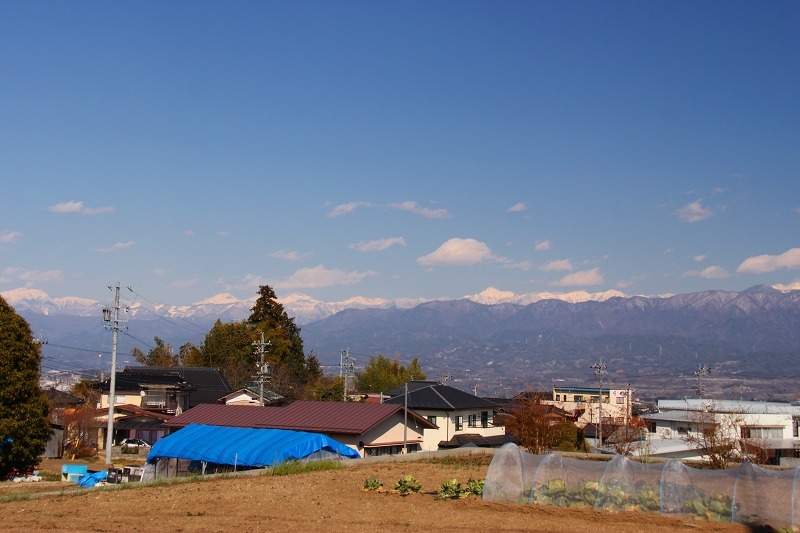 日帰りで、一本桜を巡る旅 (3)_a0087818_09502024.jpg