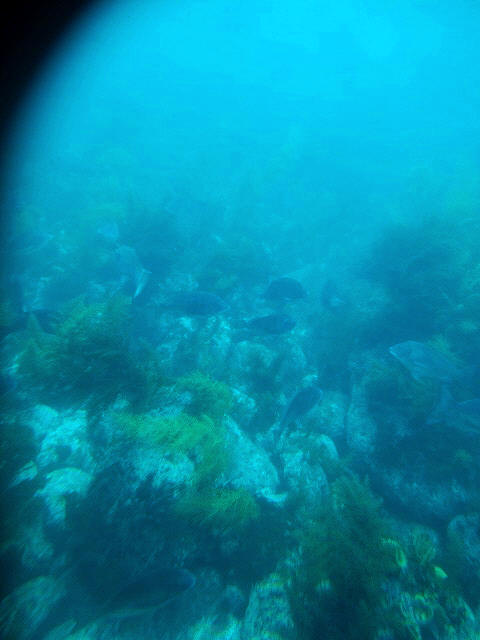 e0072023_2054264.jpg