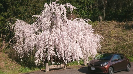 f0213825_08080746.jpg