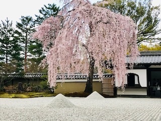 c0051529_22121374.jpg