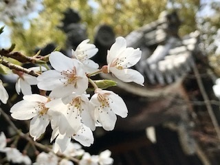 c0051529_22125222.jpg