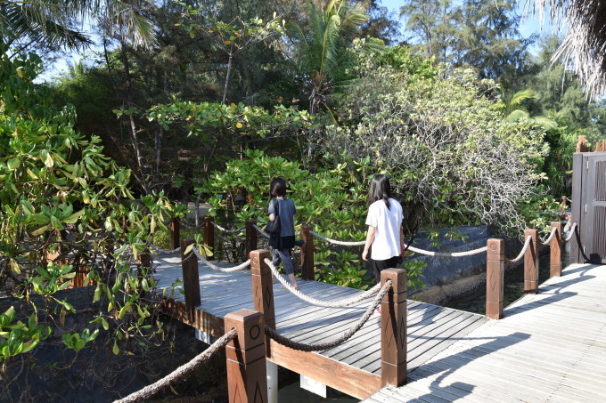 a0235931_10184828.jpg