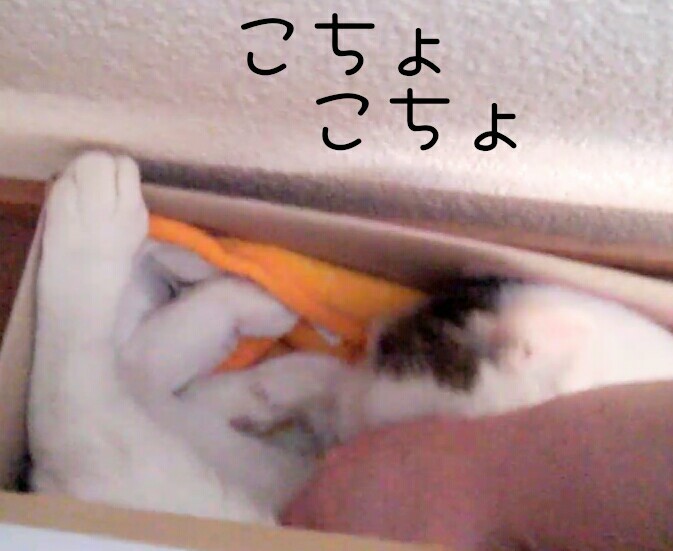 e0338831_03020280.jpg