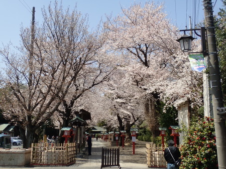 c0353632_16593292.jpg