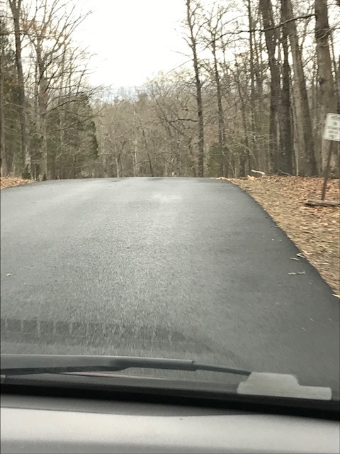 d0269832_08330880.jpeg