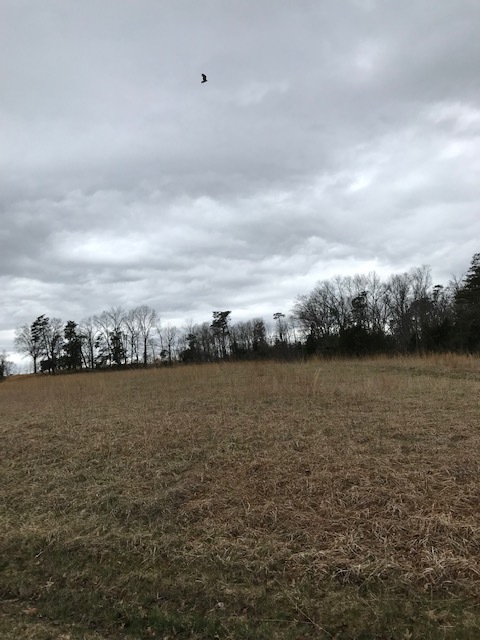 d0269832_08502551.jpeg