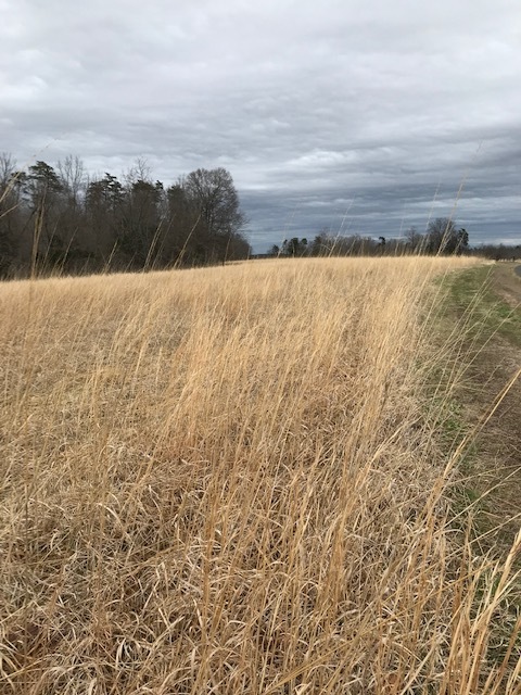 d0269832_08525614.jpeg