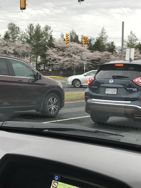 d0269832_08555948.jpeg