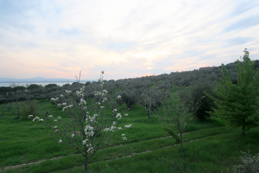 f0234936_71207.jpg