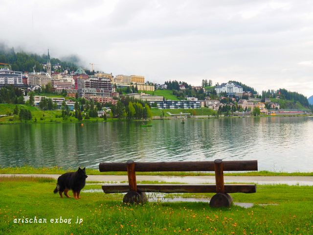 ザンクト・モッリッツァー湖＠スイスの早朝散歩_f0295238_10153610.jpg