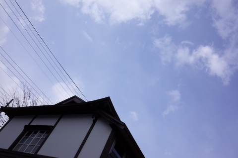 お客様も_b0207642_11352824.jpg