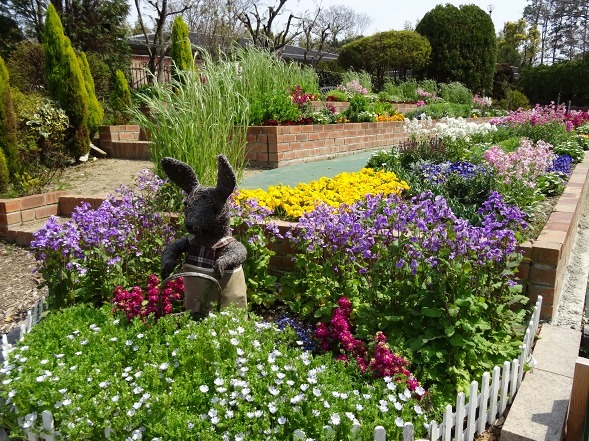 山田池公園は花盛り_b0299042_10365242.jpg