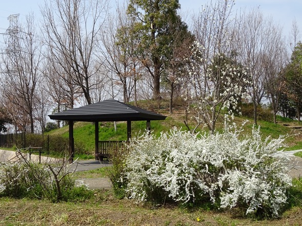 b0299042_10380014.jpg