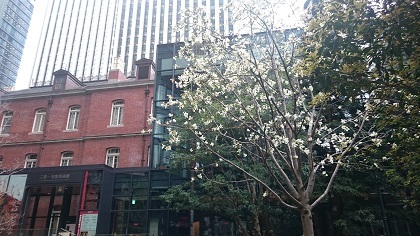 a0370052_21435857.jpg