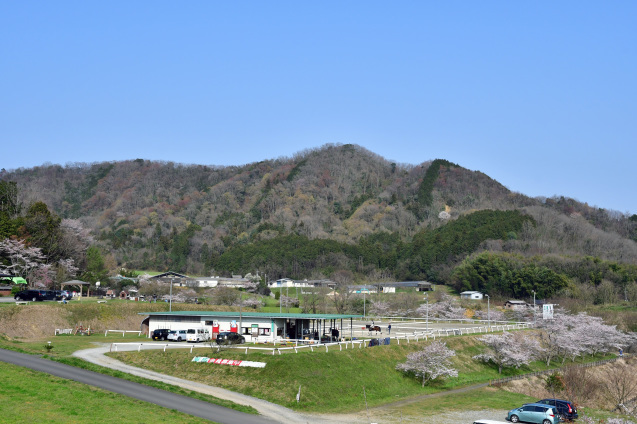 b0214652_17060061.jpg