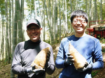 熊本県産!幻の白い「長生たけのこ」 令和6年の収穫及び即日発送開始!収穫の様子を現地取材(後編)_a0254656_17092588.jpg