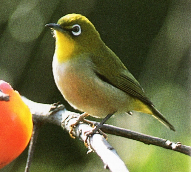 a0016161_20511069.jpg
