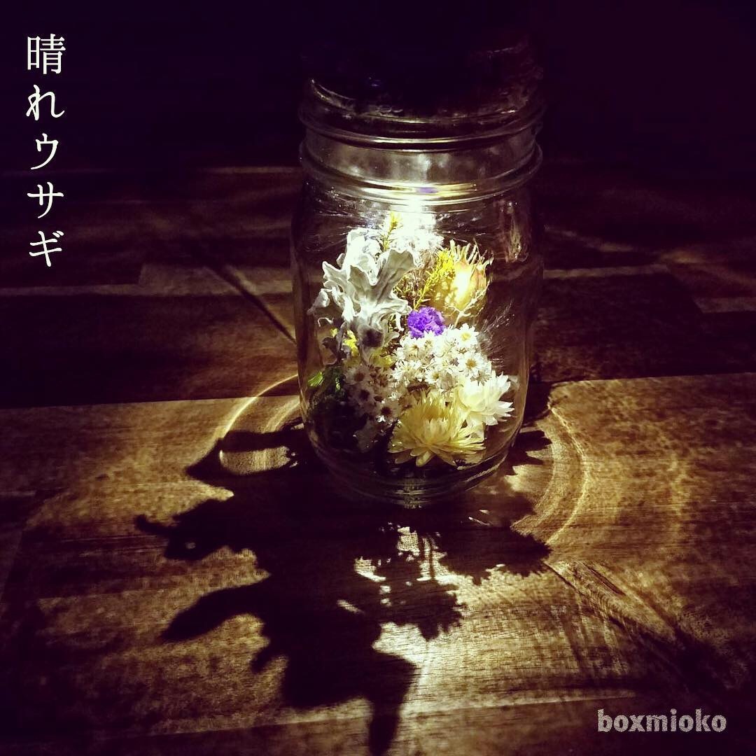 b0178971_14405839.jpeg